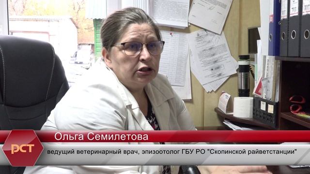 Ветстанция - бруцелез.