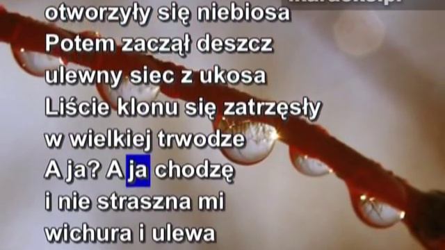 KARAOKE - Czerwone Gitary - Ciągle pada смотреть онлайн