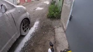 Champion  hp 6170 720p