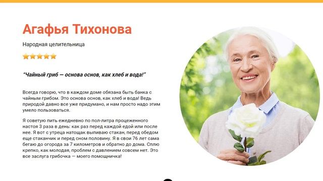 Ферментированный чайный гриб цена, отзывы, купить смотреть онлайн