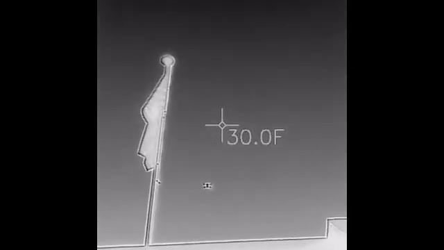 FLIR video of DJI Mavic Pro Platinum Landing - Near Miss! смотреть онлайн