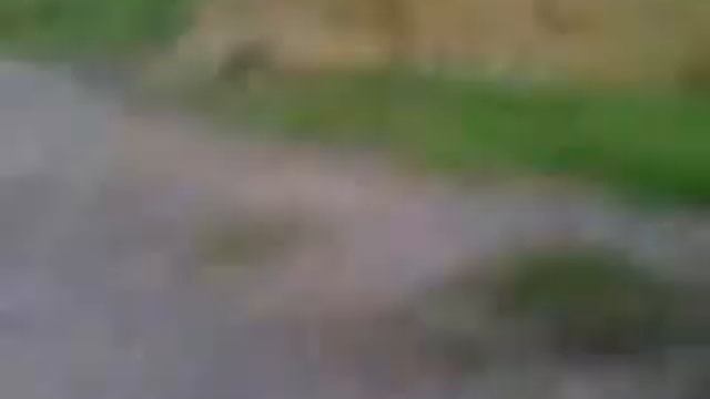 Ирбейский Вова смотреть онлайн