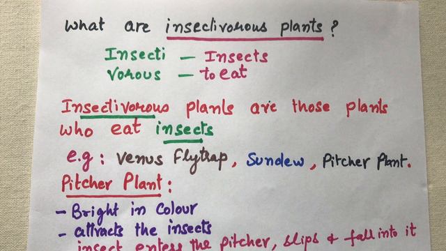 Insectivorous Plants [Grade 4] कीटभक्षी पोधे |Babbar Studypool смотреть онлайн