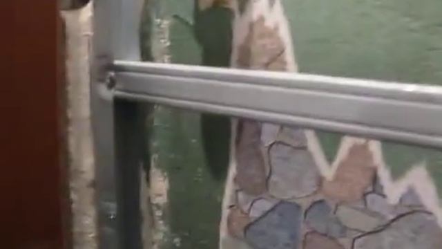 Подготовка смотреть онлайн