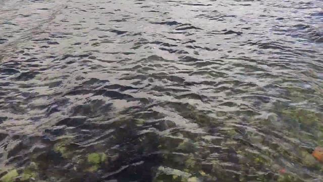 Погода в Черногории осенью : Октябрь начало. Какую одежду брать с собой для поездки. смотреть онлайн