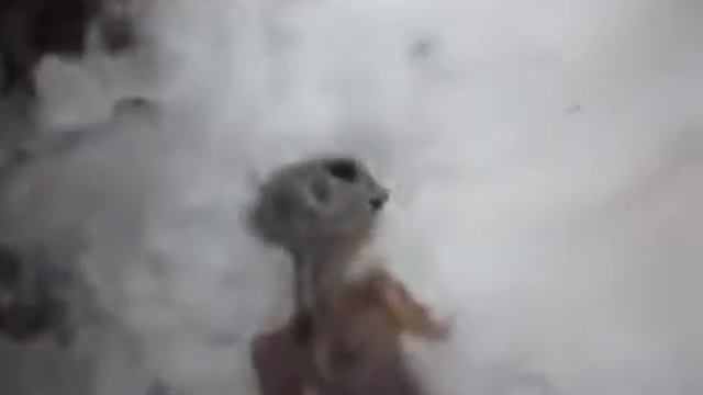 КАК выглядят ПРИШЕЛЬЦЫ смотреть онлайн