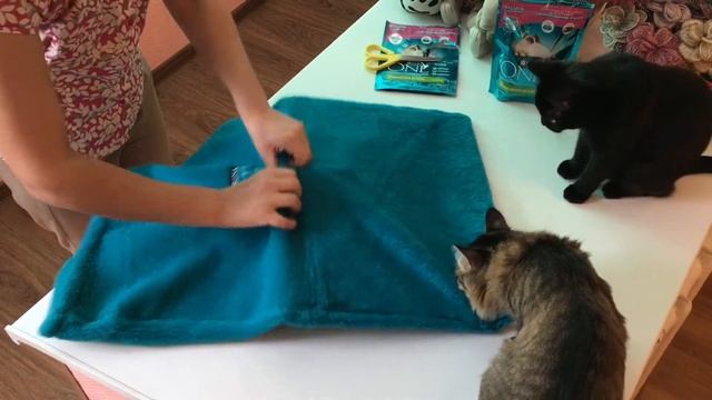 ОБЗОР ПОДАРКА ОТ PURINA ONE ✅ LOUNGER FOR A CAT смотреть онлайн