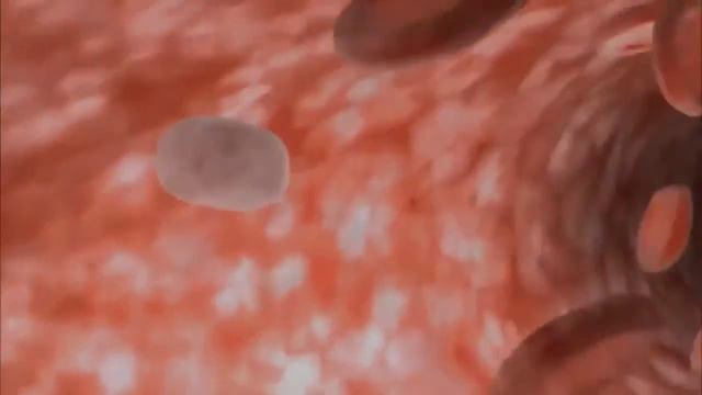 FOXO3A Using HeLa - With HeLa cells stably expressing a смотреть онлайн