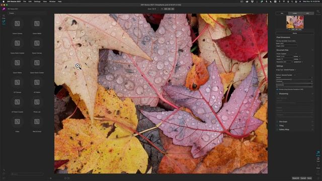 Using ON1 Resize 2021 as a Photoshop Plugin смотреть онлайн