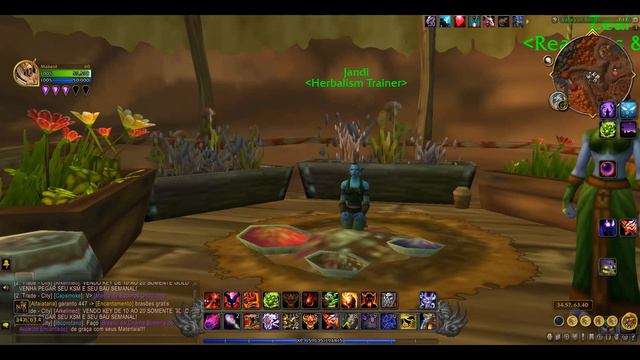 Location of Jandi (Herbalism Trainer) | Orgrimmar | WOW World of Warcraft смотреть онлайн