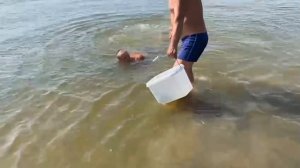 Река Бахтемир .Астраханская область. Ловля раков