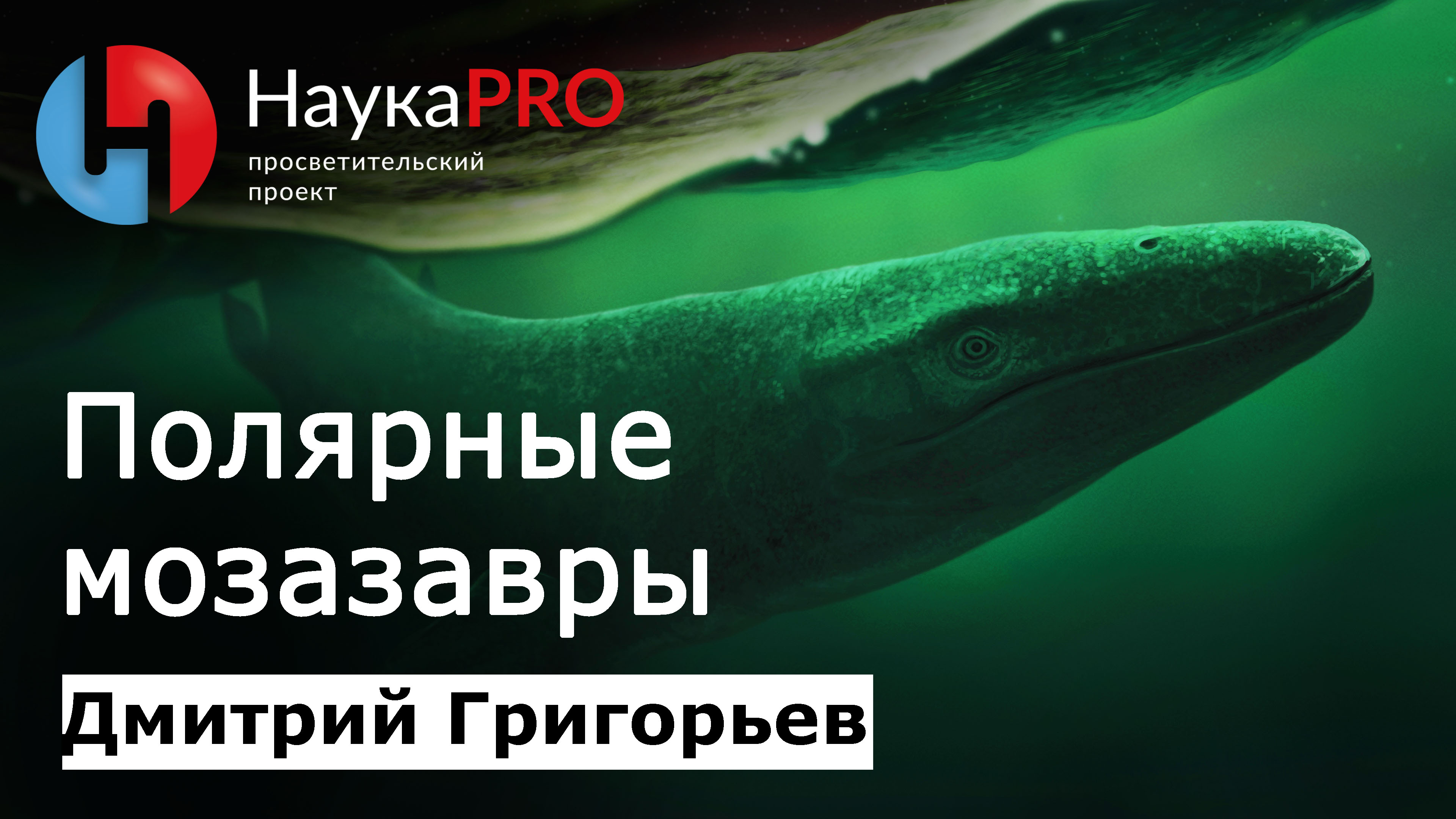 Полярные мозазавры | Лекции по палеонтологии – палеонтолог Дмитрий Григорьев | Научпоп