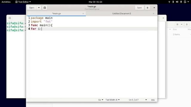 Formatting Go code with githooks смотреть онлайн