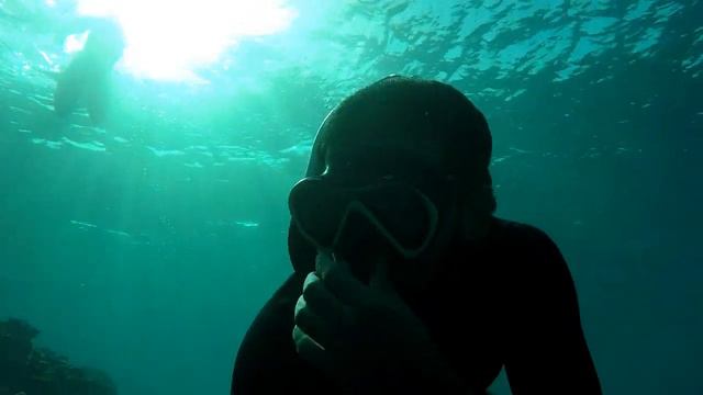 house reef aurora bay resort - JABAL EL ROSA - RED SEA - EGYPT 2019 смотреть онлайн