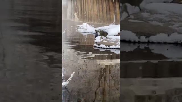 Blue lake winter смотреть онлайн