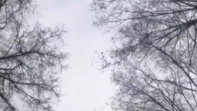 Честный влог Ежедневный макияж Поездка на дачу Горчица Мужская шапка смотреть онлайн