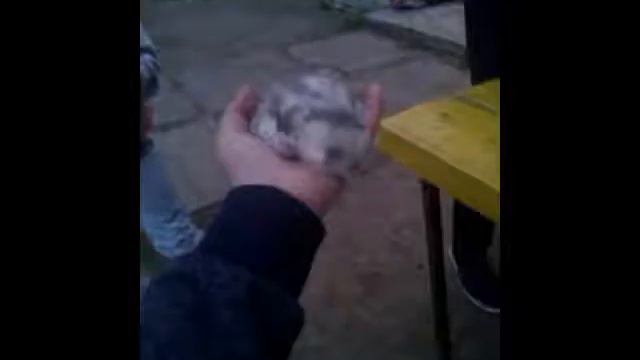 Это лишь первое видео смотреть онлайн