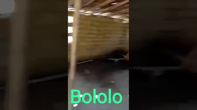 ALPHABET FRANÇAISE, VERSION LINGALA. DU JAMAIS VUE MAIS CE VRAIS смотреть онлайн