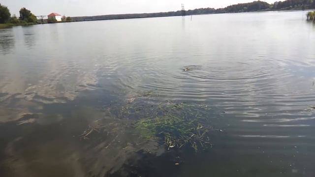 Муромское 3 09 13 смотреть онлайн