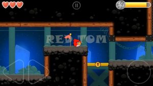 Angry Bird Ball Fights The Bad Piggy Boss (Into The Caves with Moon Background).