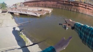 городская рыбалка в Самаре, день