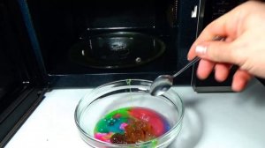 ЧТО ЕСЛИ ЛИЗУНА ЗАСУНУТЬ В МИКРОВОЛНОВКУ !!!