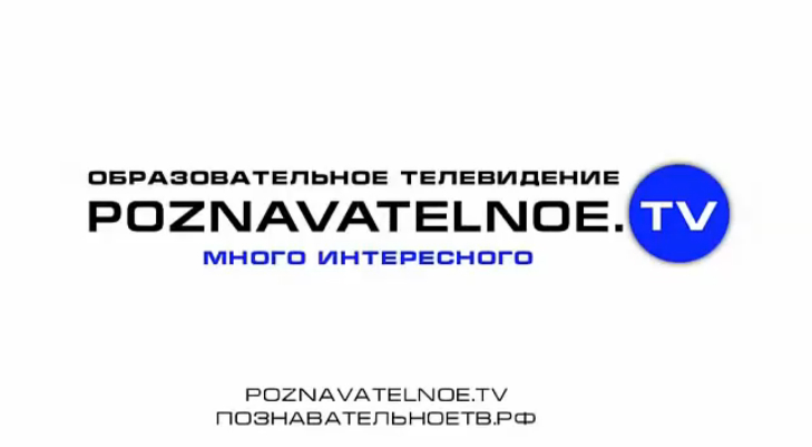 Капитализм ДЕРЖИТСЯ на Лохах и Дураках (Профессор В. Катасонов) смотреть онлайн