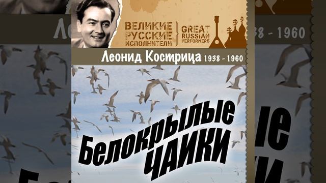 Белокрылые чайки смотреть онлайн