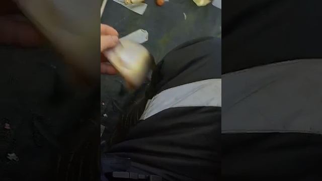 Зимняя рыбалка в палатке с комфортом- на Селигере .Поймал-отпустил. смотреть онлайн