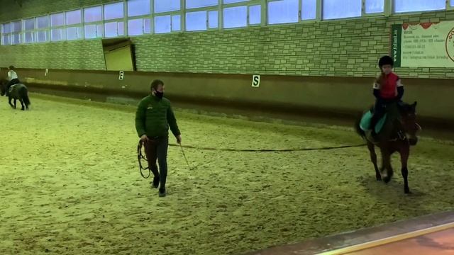 Верховая езда//КОНОБЛОГ// Как проходит моя тренировка с Голиафом смотреть онлайн