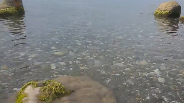 Якорная щель. Утро.Море. 02.09.2020