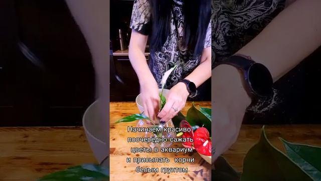 СПАТИФИЛЛУМ И АНТУРИУМ .Как создать цветочную композицию в аквариуме. смотреть онлайн