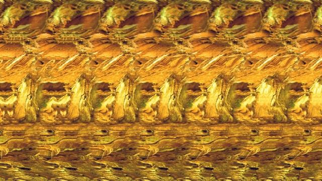These are just AMAZING 3D MAGIC EYE pictures. смотреть онлайн