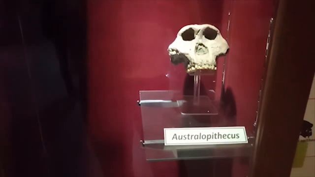 The Homeland Of Java Man Sangiran Sragen Jawa Tengah Indonesia смотреть онлайн