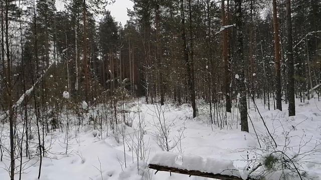 VID 63 Почему нельзя думать о себе хорошо смотреть онлайн