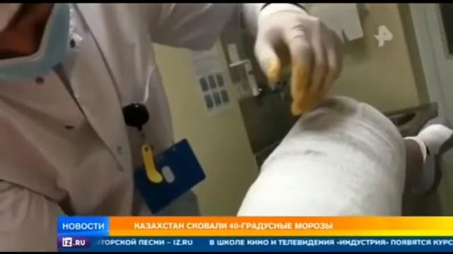 Аномальные морозы в Казахстане животные замерзают на ходу. смотреть онлайн