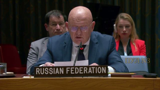 Небензя – об украинских нацистах