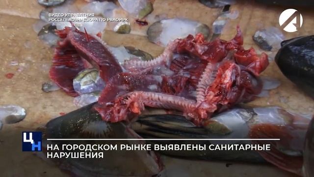 На городской рынке выявлены санитарные нарушения смотреть онлайн