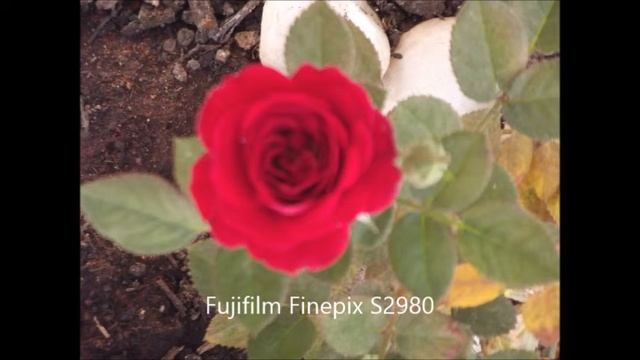 Fotos Fujifilm Finepix S2980 Boa ou Ruim? смотреть онлайн