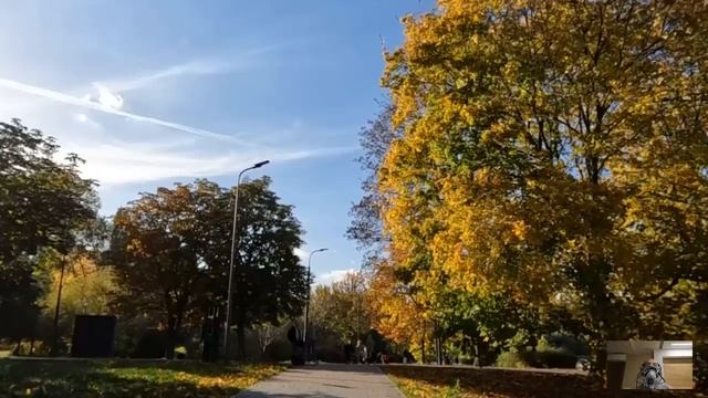 Выйдя по УДО нашла детскую коляску на свалке и решила, что там кукла, но едва Света взяла ее в руки смотреть онлайн