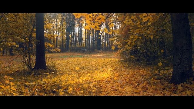 «Очей очарованье» в заповедных аллеях Спасского парка смотреть онлайн