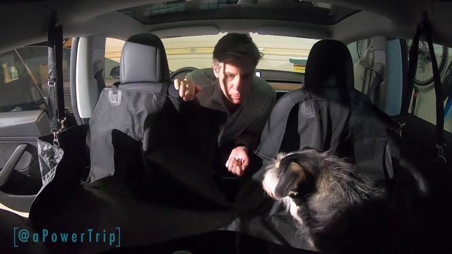 Puppy proof the Tesla Model 3 - Floor mats and back seat protection! смотреть онлайн