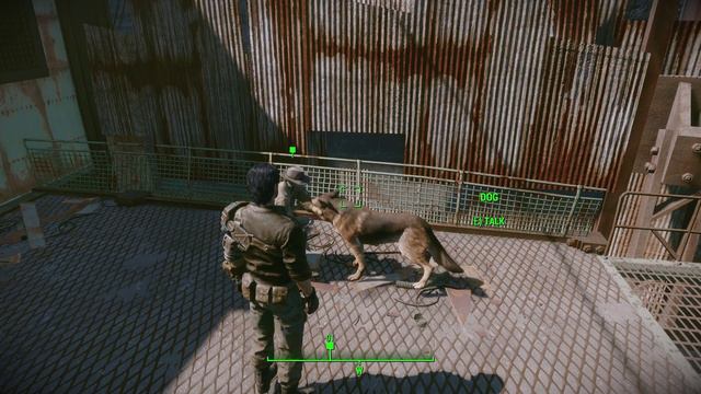 Meeting Dogmeat (alternate version) | Fallout 4 смотреть онлайн