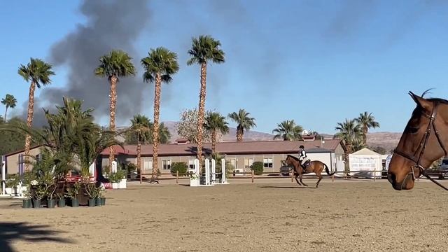 EAP application video -Lily Ford and Lady at Desert Horse Park смотреть онлайн