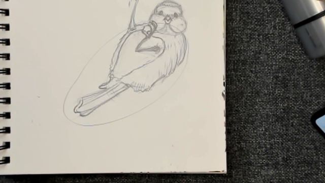 Sketch tit on rowan berries with markers - part 1 смотреть онлайн