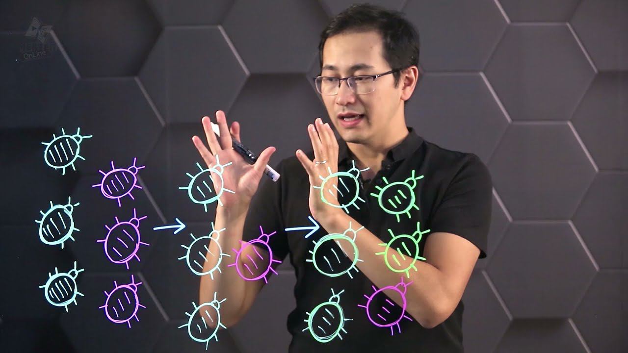 Естественный отбор. Борьба за существование. 10 класс. смотреть онлайн