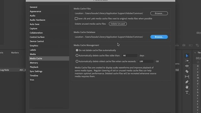 Media Cache Files in Premiere Pro | Adobe Creative Cloud смотреть онлайн