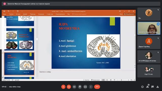 Анатомия. Лекция. Головной Мозг смотреть онлайн