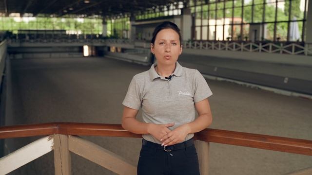 Наталья Калашникова - Поощрение и Наказание лошади как найти золотую середину смотреть онлайн