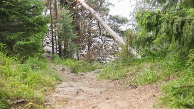 Валаам.Ладога.Святой остров.По стопам Александра Свирского. смотреть онлайн